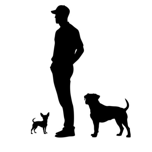 cropped-aidenlogo